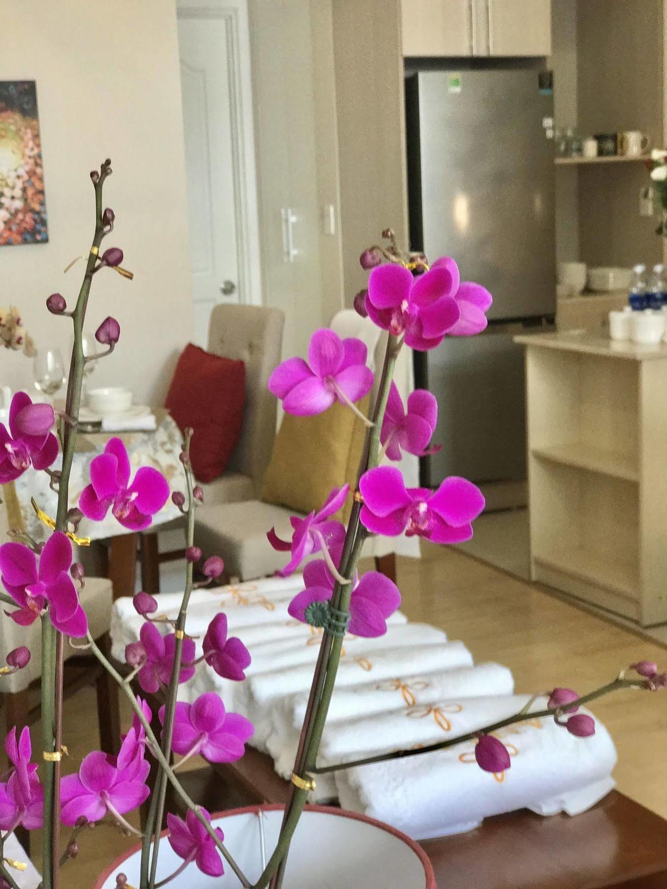 Anada Hotel Suites Da Lat Zewnętrze zdjęcie